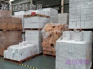 上海到南宁冷链货运公司冷冻货运电子产品恒温 踏信专线